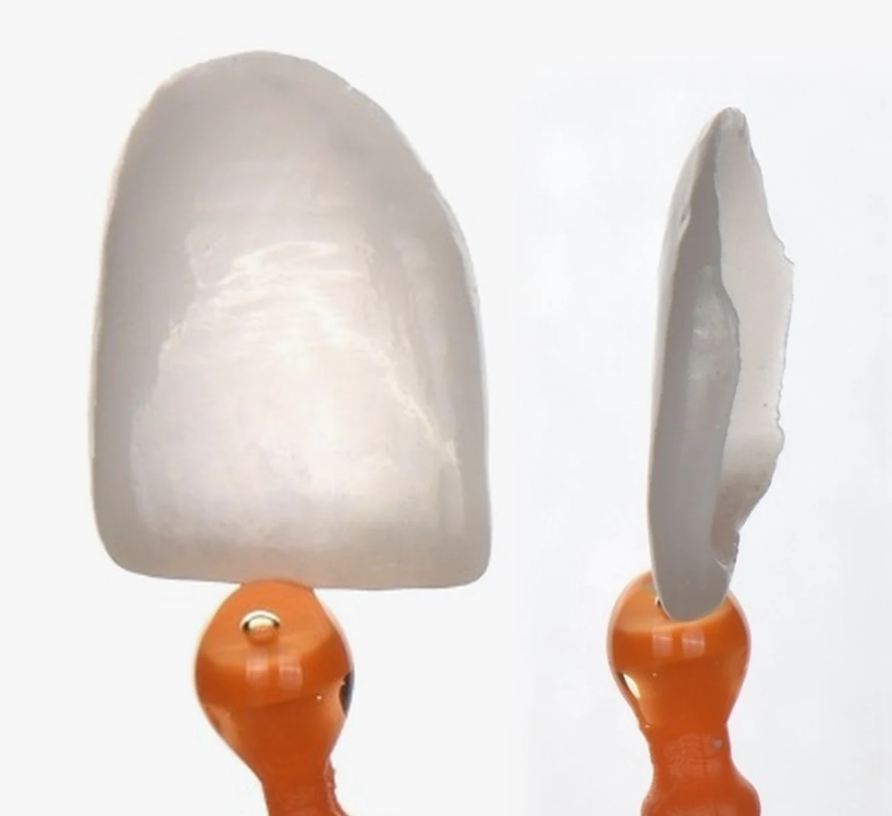 A porcelain veneer shown two ways on a lab holder — face-on as a full tooth, and turned on its edge — a shell only about half a millimetre thick